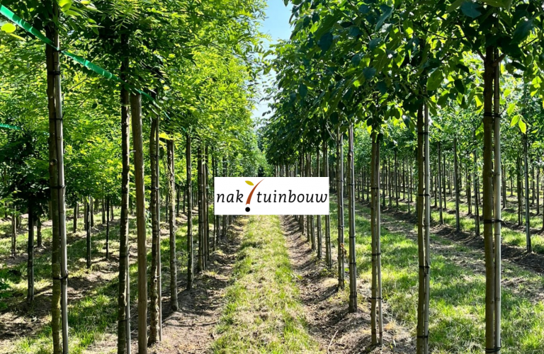 Waarom wordt Boomkwekerij Michels Classens gecontroleerd door NAK Tuinbouw?
