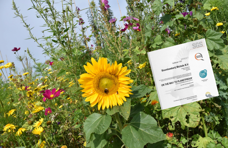 Duurzaamheid & Certificeringen